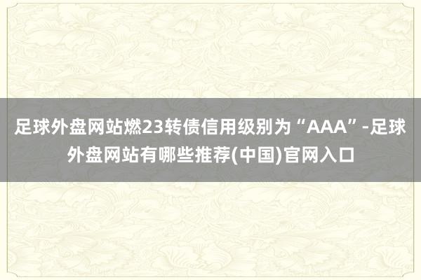 足球外盘网站燃23转债信用级别为“AAA”-足球外盘网站有哪些推荐(中国)官网入口