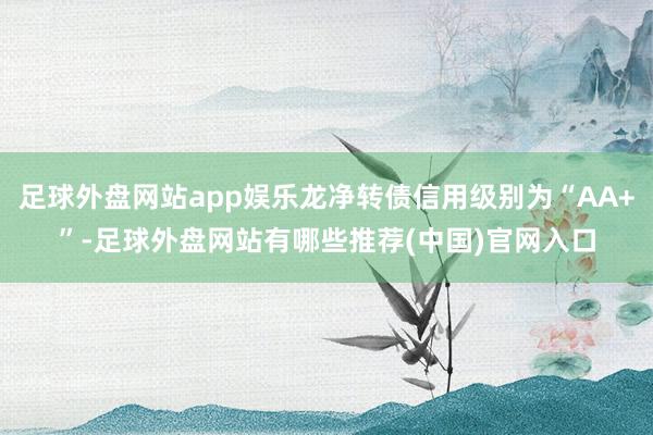 足球外盘网站app娱乐龙净转债信用级别为“AA+”-足球外盘网站有哪些推荐(中国)官网入口