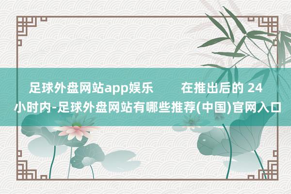 足球外盘网站app娱乐        在推出后的 24 小时内-足球外盘网站有哪些推荐(中国)官网入口