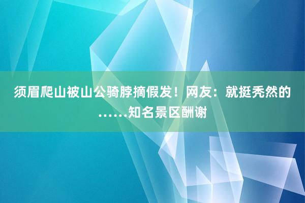 须眉爬山被山公骑脖摘假发！网友：就挺秃然的……知名景区酬谢