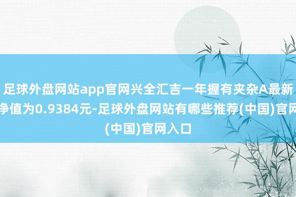 足球外盘网站app官网兴全汇吉一年握有夹杂A最新单元净值为0.9384元-足球外盘网站有哪些推荐(中国)官网入口