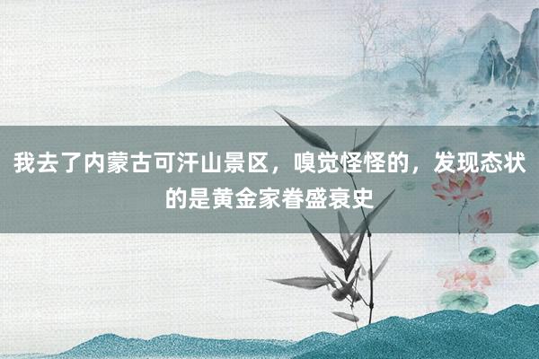 我去了内蒙古可汗山景区，嗅觉怪怪的，发现态状的是黄金家眷盛衰史