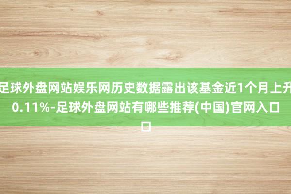 足球外盘网站娱乐网历史数据露出该基金近1个月上升0.11%-足球外盘网站有哪些推荐(中国)官网入口