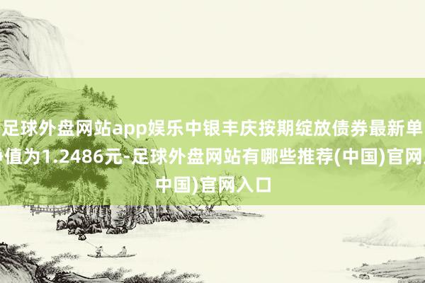 足球外盘网站app娱乐中银丰庆按期绽放债券最新单元净值为1.2486元-足球外盘网站有哪些推荐(中国)官网入口